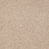 SHAW FLOORS RETAIL: SANDY HOLLOW III 15' - Image 6