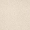SHAW FLOORS RETAIL: SANDY HOLLOW III 15' - Image 14