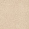 SHAW FLOORS RETAIL: SANDY HOLLOW III 15' - Image 8