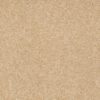 SHAW FLOORS RETAIL: SANDY HOLLOW III 15' - Image 29