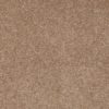 SHAW FLOORS RETAIL: SANDY HOLLOW III 15' - Image 9
