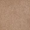 SHAW FLOORS RETAIL: SANDY HOLLOW III 15' - Image 21