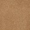 SHAW FLOORS RETAIL: SANDY HOLLOW III 15' - Image 22