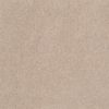SHAW FLOORS RETAIL: GREAT EFFECT I 12' - Image 10