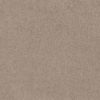 SHAW FLOORS RETAIL: GREAT EFFECT I 12' - Image 28