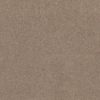 SHAW FLOORS RETAIL: GREAT EFFECT I 12' - Image 6