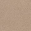 SHAW FLOORS RETAIL: GREAT EFFECT I 12' - Image 18