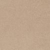 SHAW FLOORS RETAIL: GREAT EFFECT I 12' - Image 24