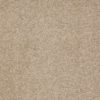 SHAW FLOORS RETAIL: GREAT EFFECT I 12' - Image 8