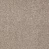 SHAW FLOORS RETAIL: GREAT EFFECT I 12' - Image 26