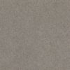 SHAW FLOORS RETAIL: GREAT EFFECT I 12' - Image 16