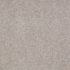SHAW FLOORS RETAIL: GREAT EFFECT I 12' - Image 3