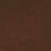SHAW FLOORS RETAIL: GREAT EFFECT I 12' - Image 4